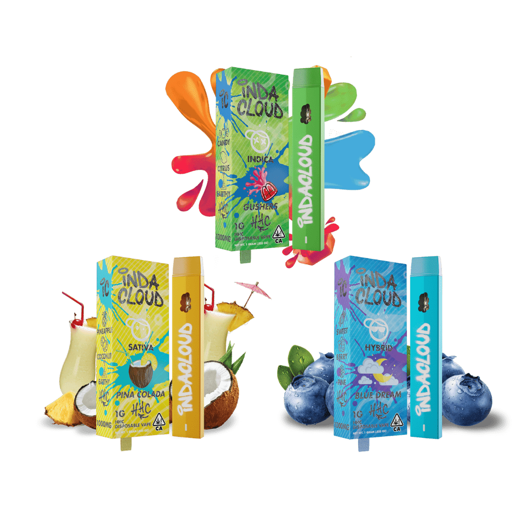 The Complete Guide On How To Recharge A Disposable Vape 1 Hhc-Disposable-Bundle