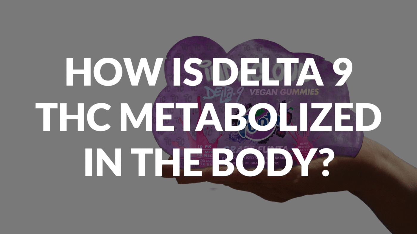 How Is Delta 9 Thc Metabolized In The Body? 1 How Is Delta 9 Thc Metabolized In The Body?