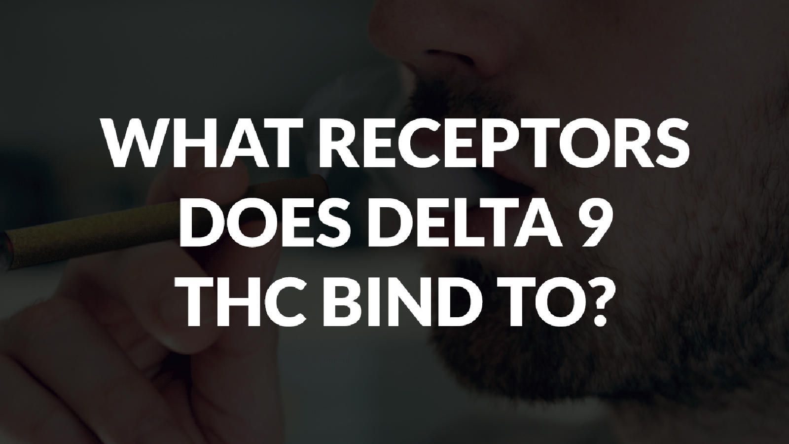 What Receptors Does Delta 9 THC Bind To?