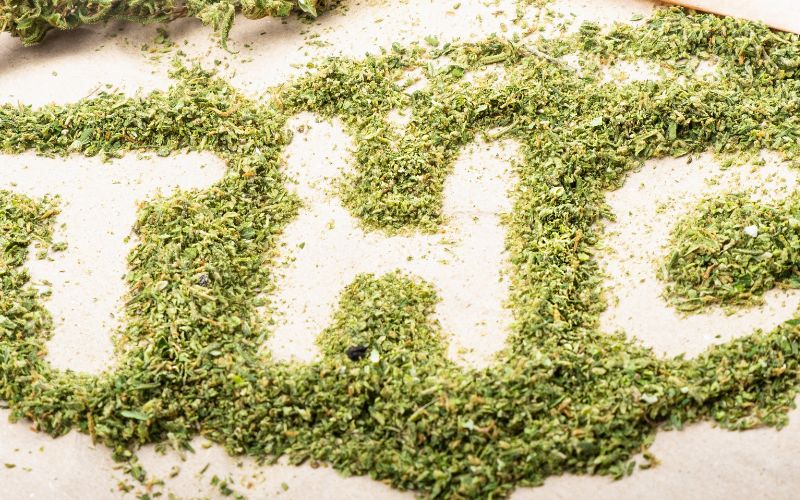 Thca Vs Delta 9: The Difference In These 2 Cannabis Cannabinoids 4 Thc Schwag