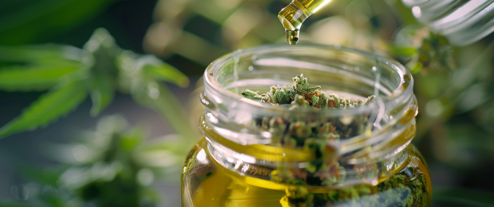 What Is Thcv Used For? Understanding Thcv Uses And Benefits 4 What Is Thcv Used For