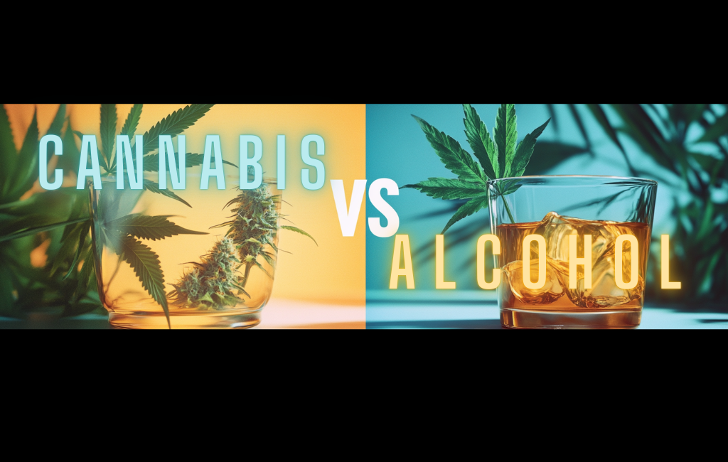 Cannabis Vs Alcohol 1 Cannabis Vs Alcohol