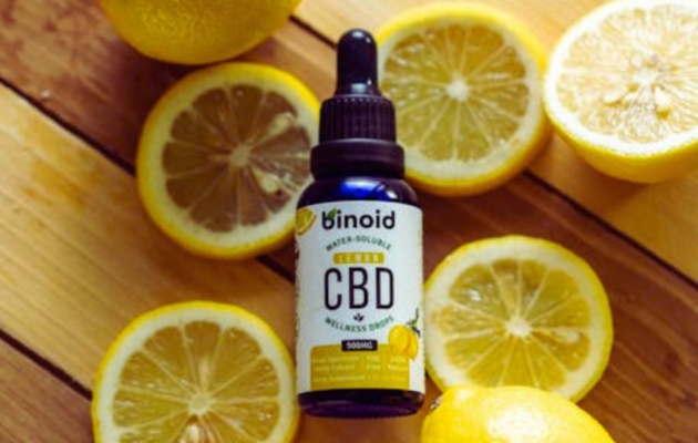 Understanding Hhcp: A Detailed Overview 1 Binoid