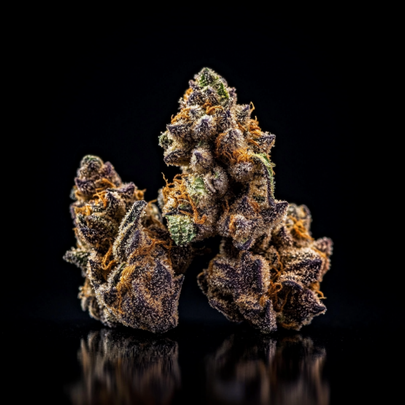 Animal Cookies Strain 2 Animal Cookies Strain